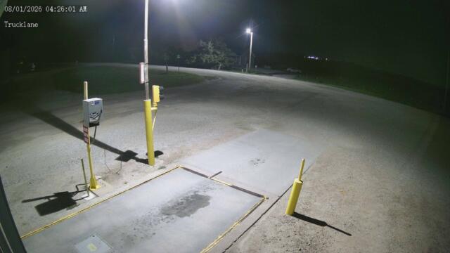 Latest snapshot from the Holstein camera