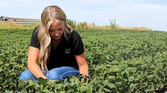 Agronomy Sales2 Intern