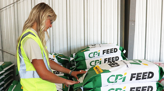 Feed Ops Intern