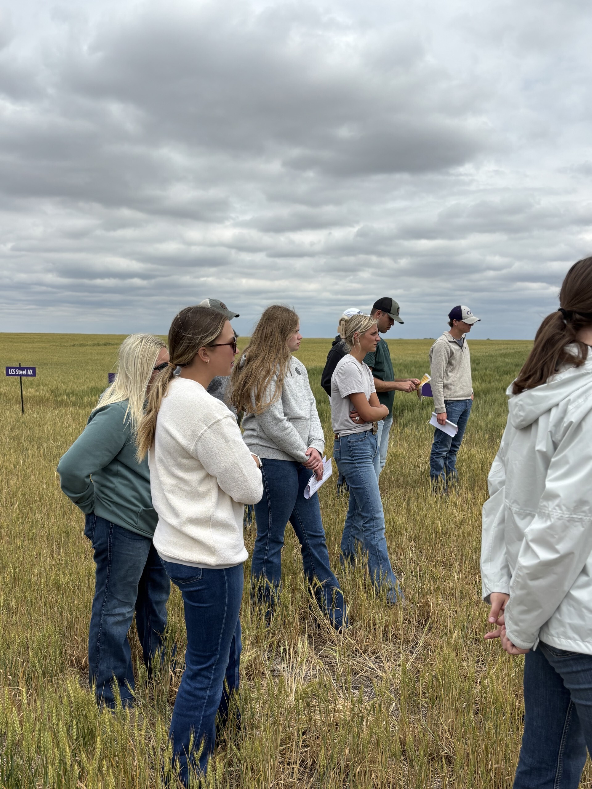 Wheat Tour 2