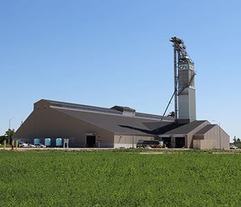 Dry Plant 2020 Thumbnail