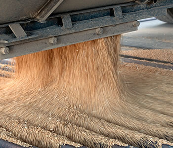 Grain Dropoff Thumbnail